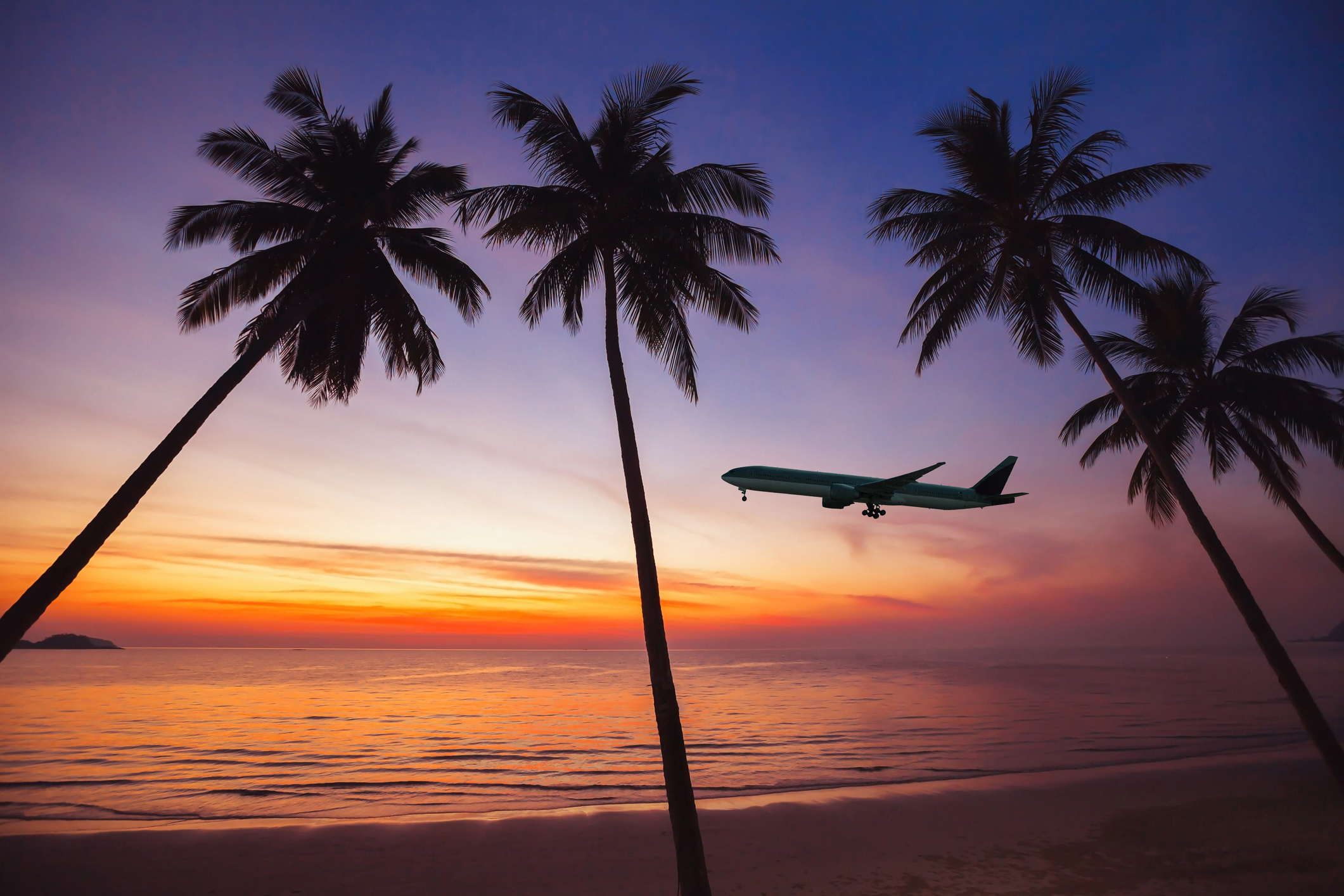 The silhouette of a plane and palm trees against a sunset.