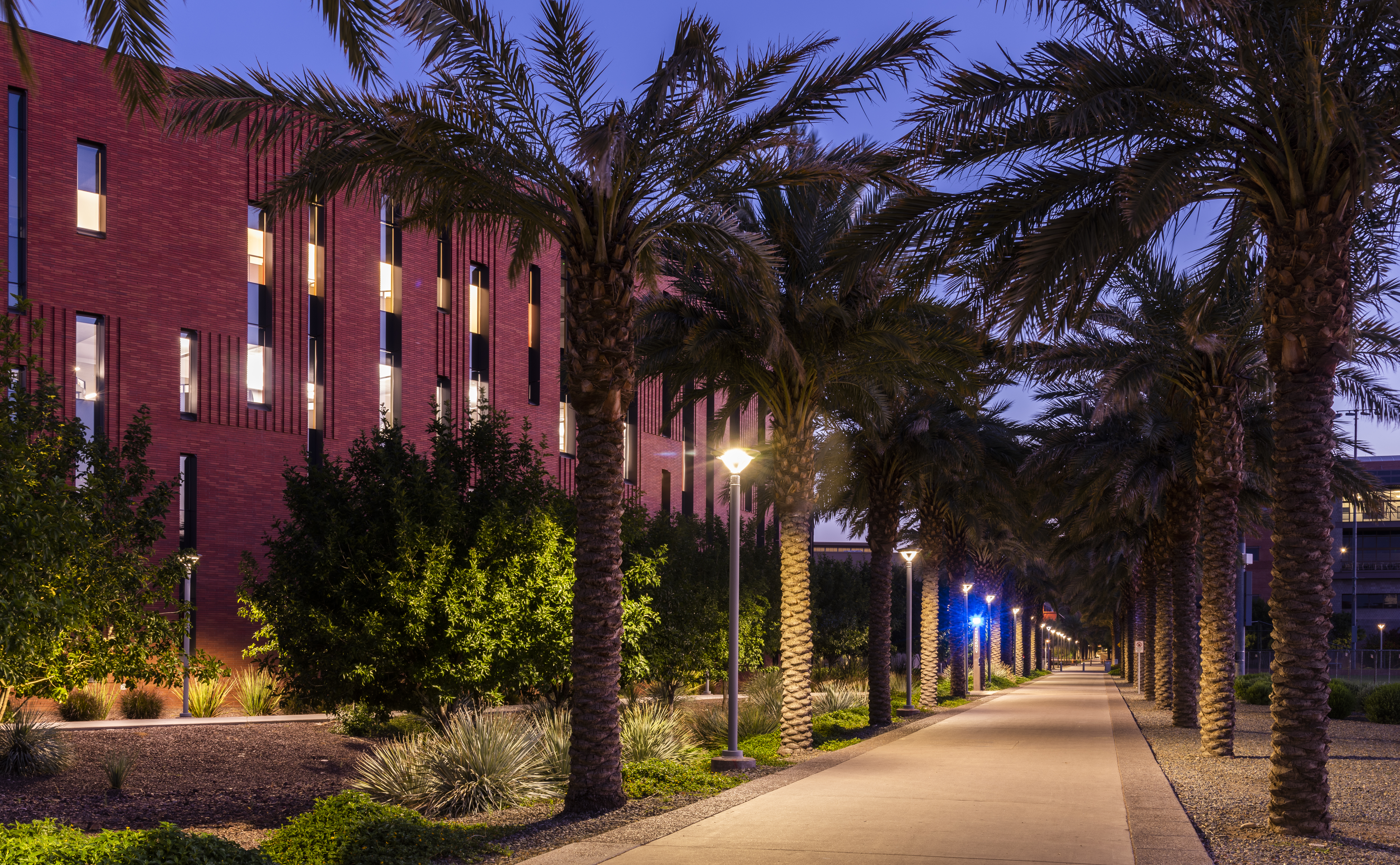 Shot of walkway and McCord Hall on ASU Tempe Campus