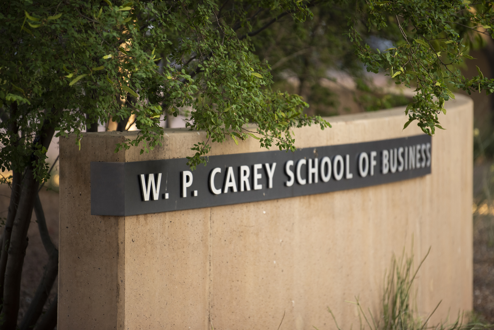 A sign for the W. P. Carey School of Business on ASU's Tempe Campus