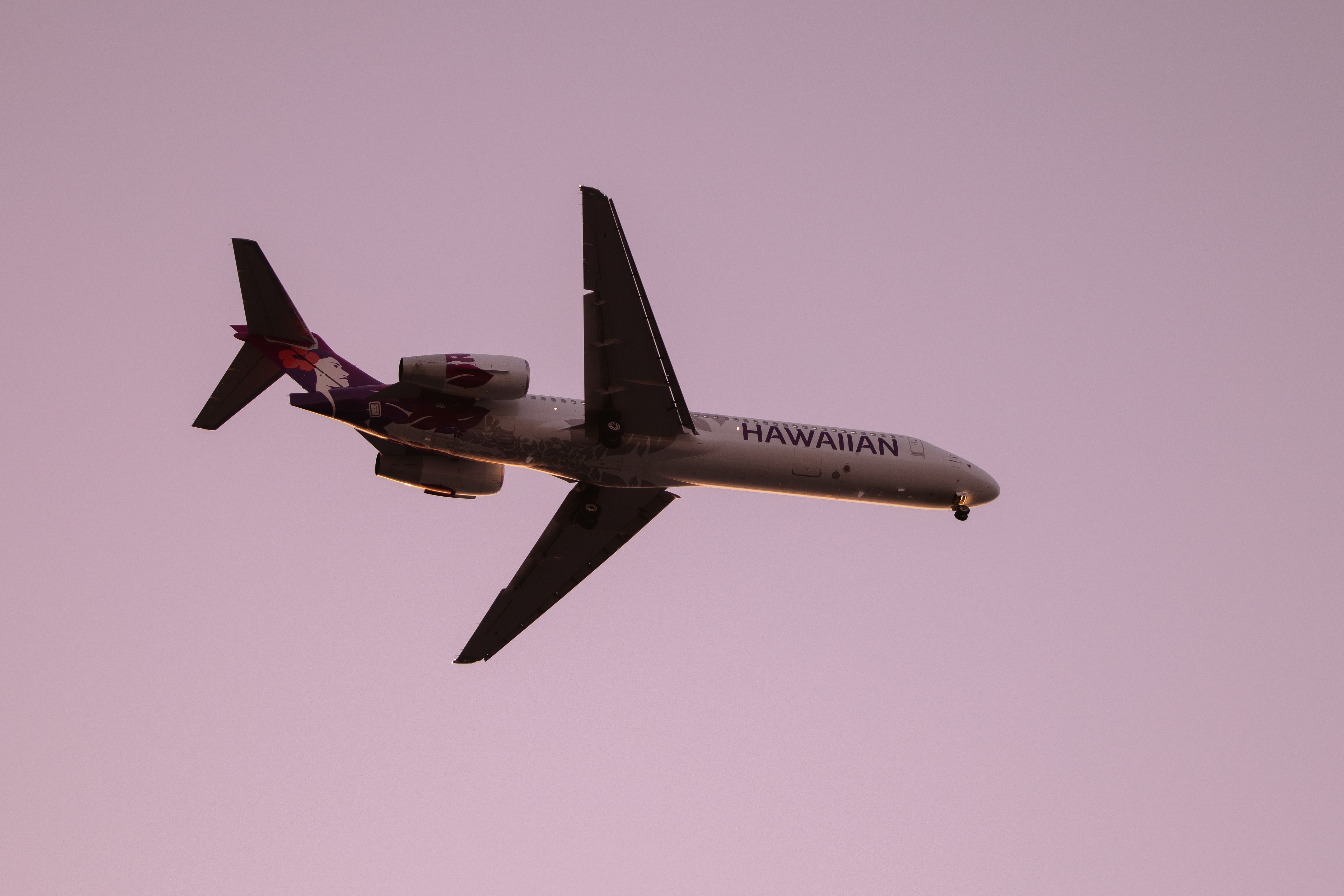 Hawaiian Airlines plane.