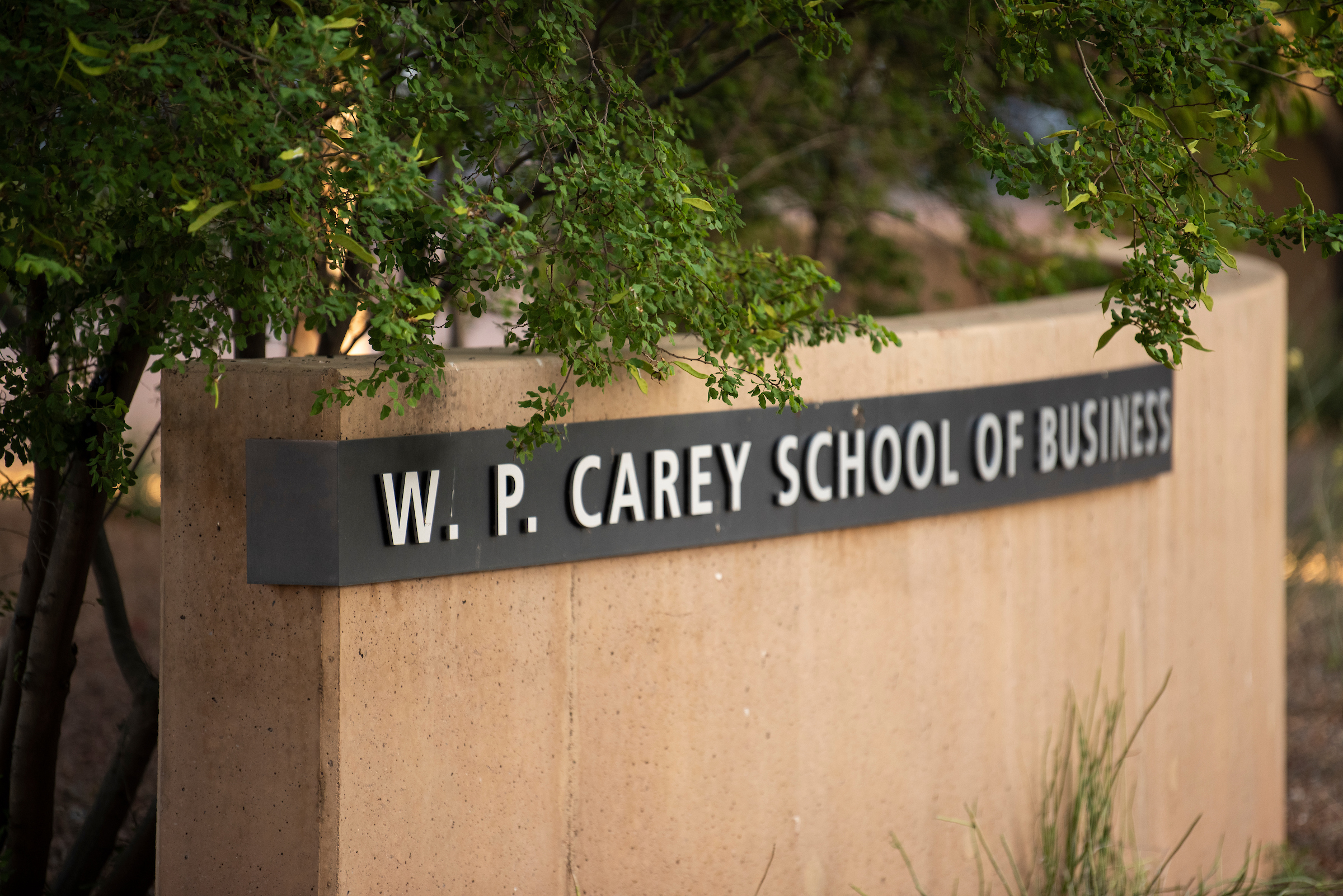 W. P. Carey School of Business