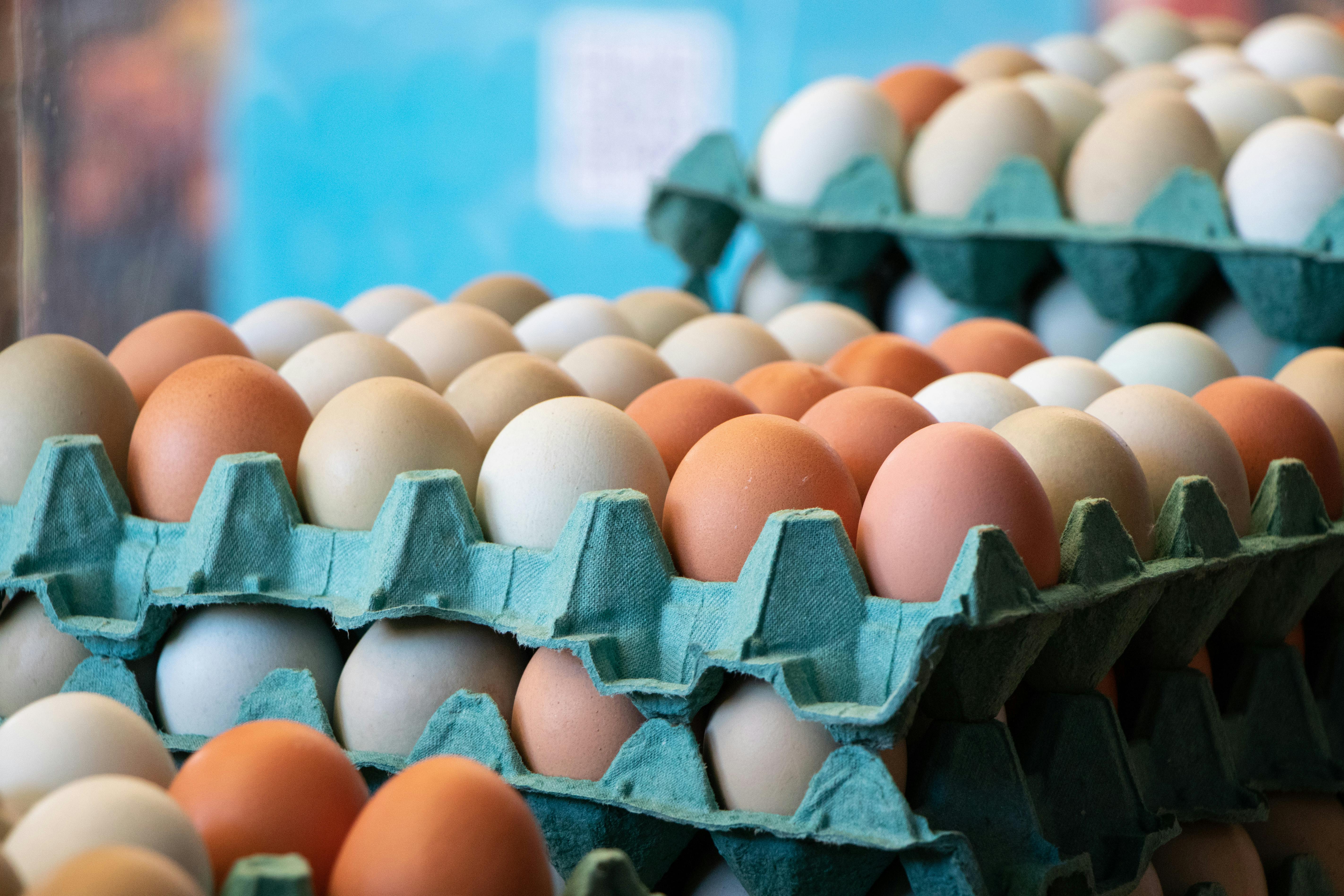 Cartons of eggs.