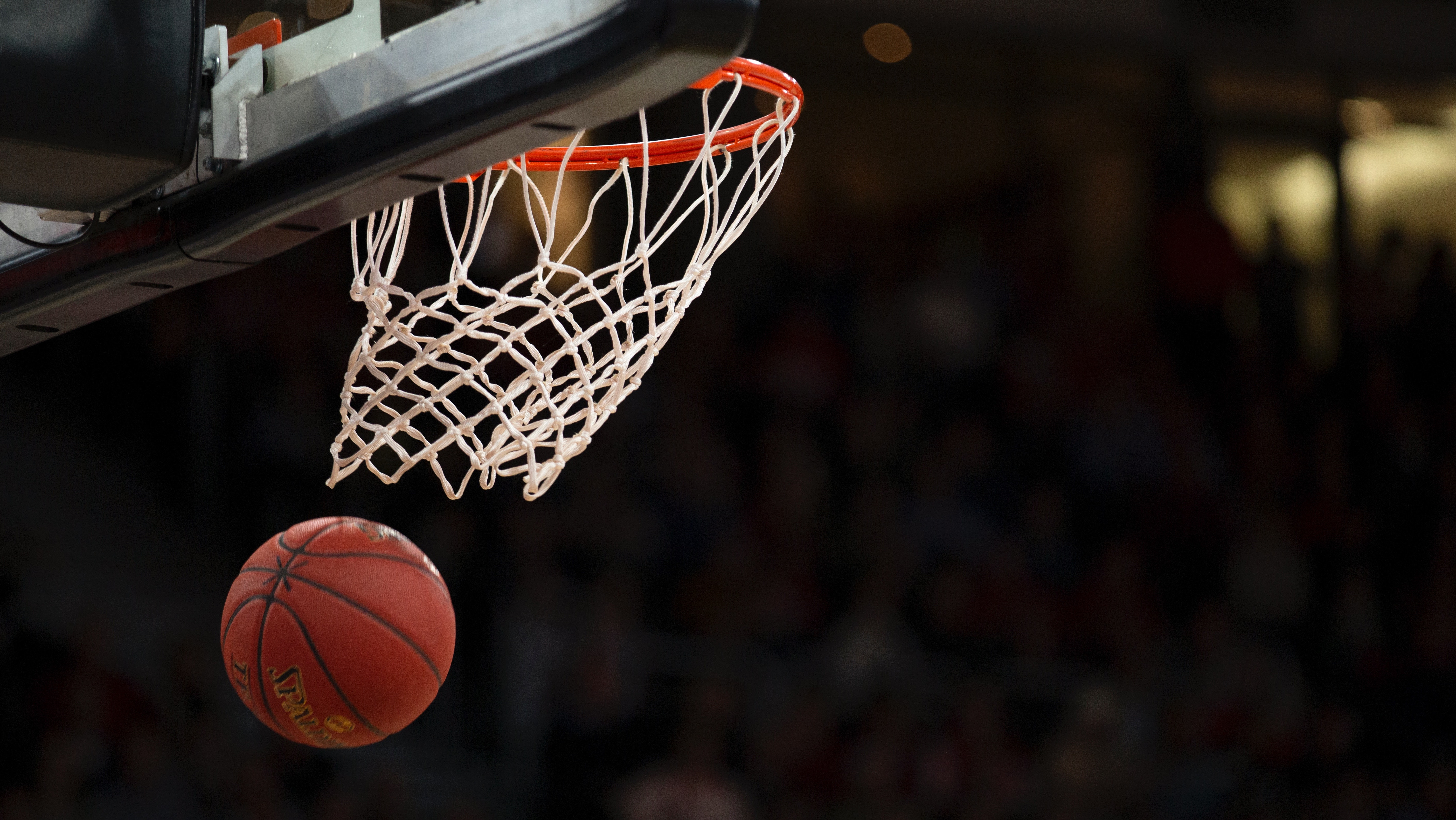 Basketball and hoop