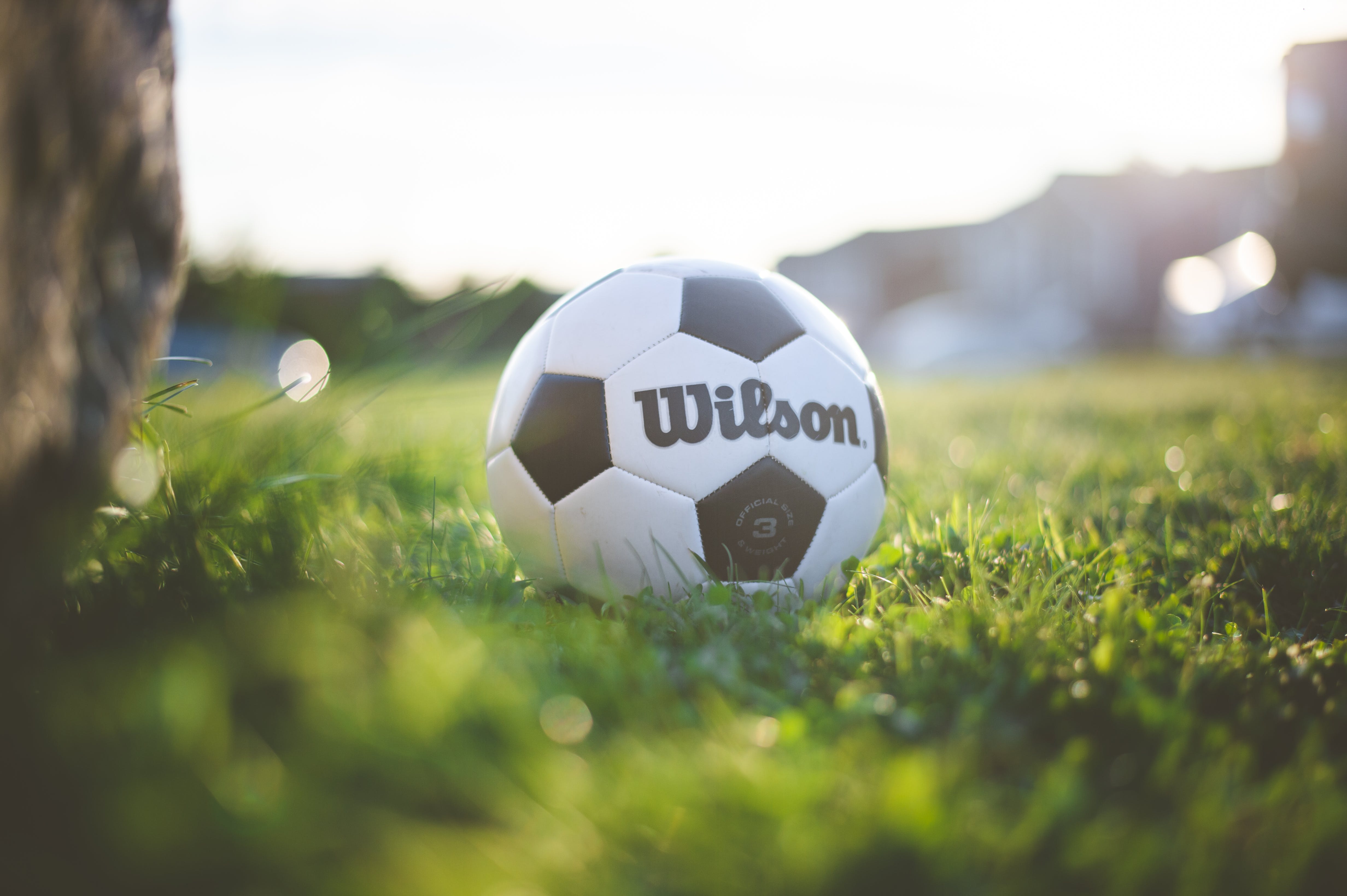 A soccer ball.