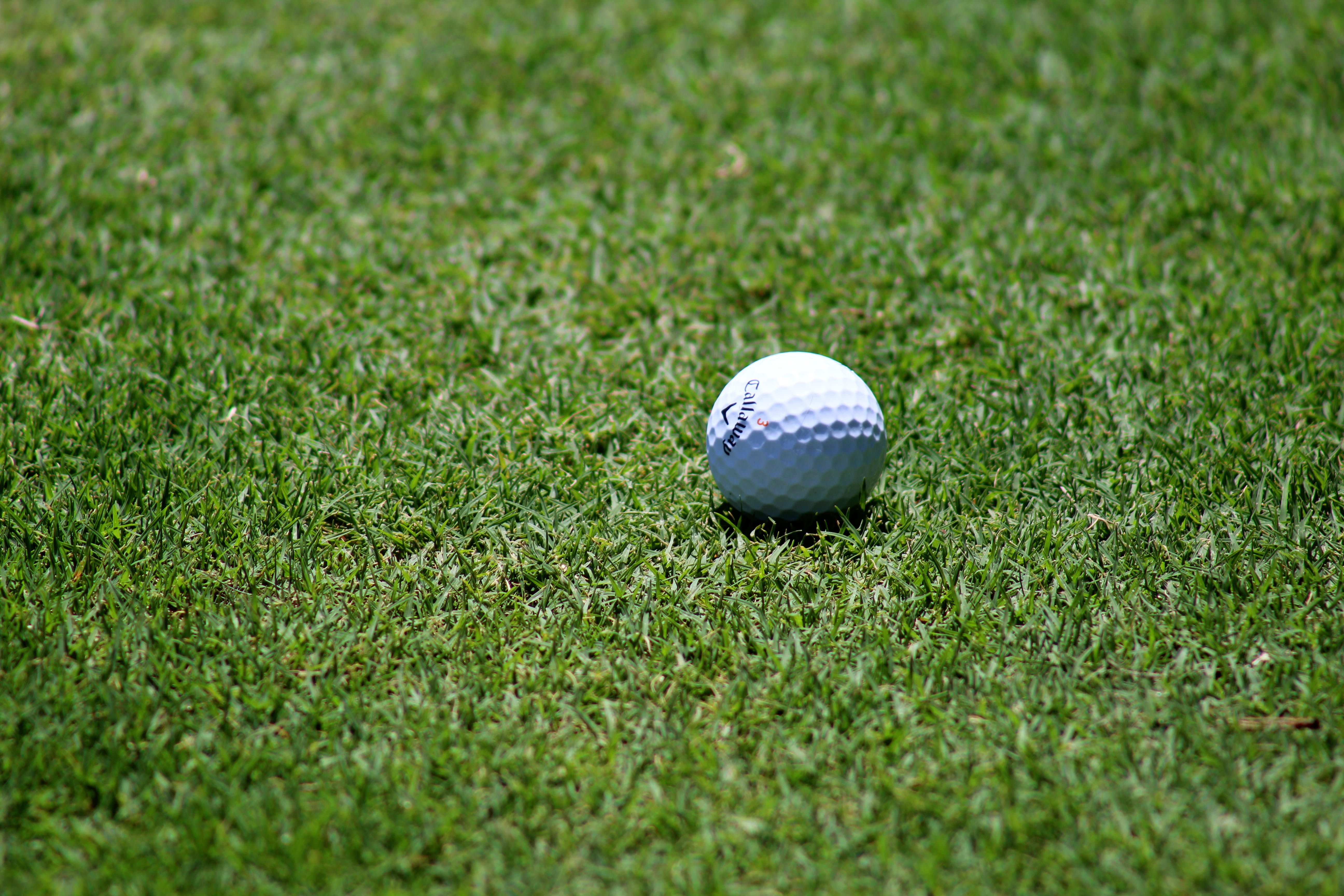 Golf ball on a golf course.
