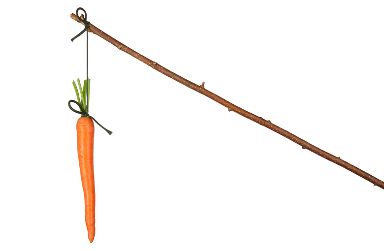 Carrot-incentive-IDEAS.jpg Carrot-incentive-IDEAS.jpg