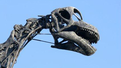 Dinosaur-KNOW-2.jpg Dinosaur-KNOW-2.jpg
