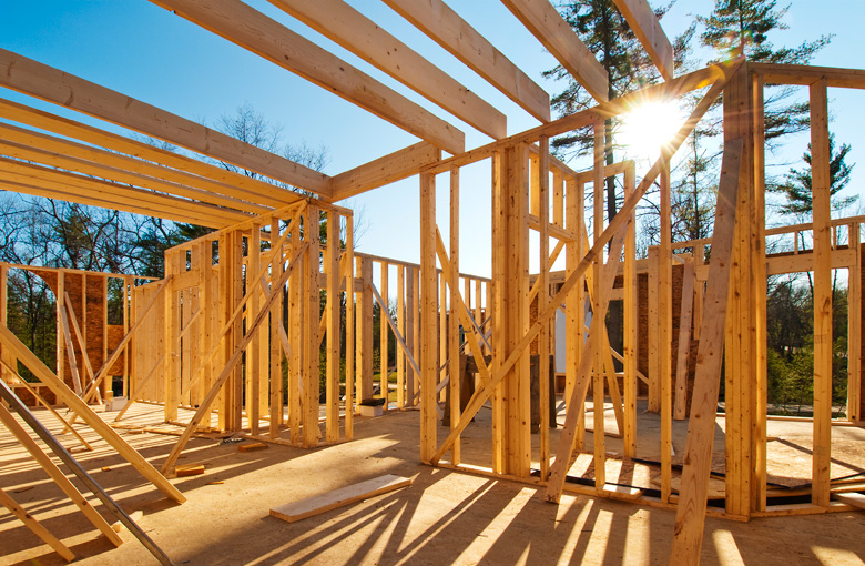 House-under-construction-IDEAS.jpg House-under-construction-IDEAS.jpg