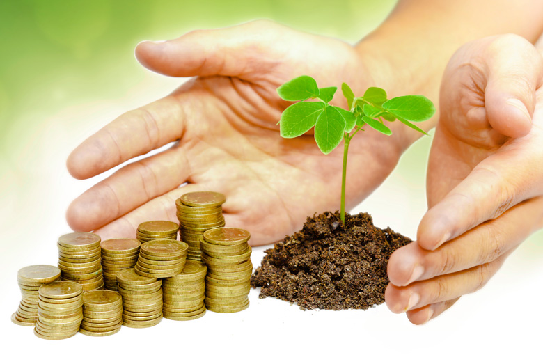 Money-seedling-IDEAS.jpg Money-seedling-IDEAS.jpg