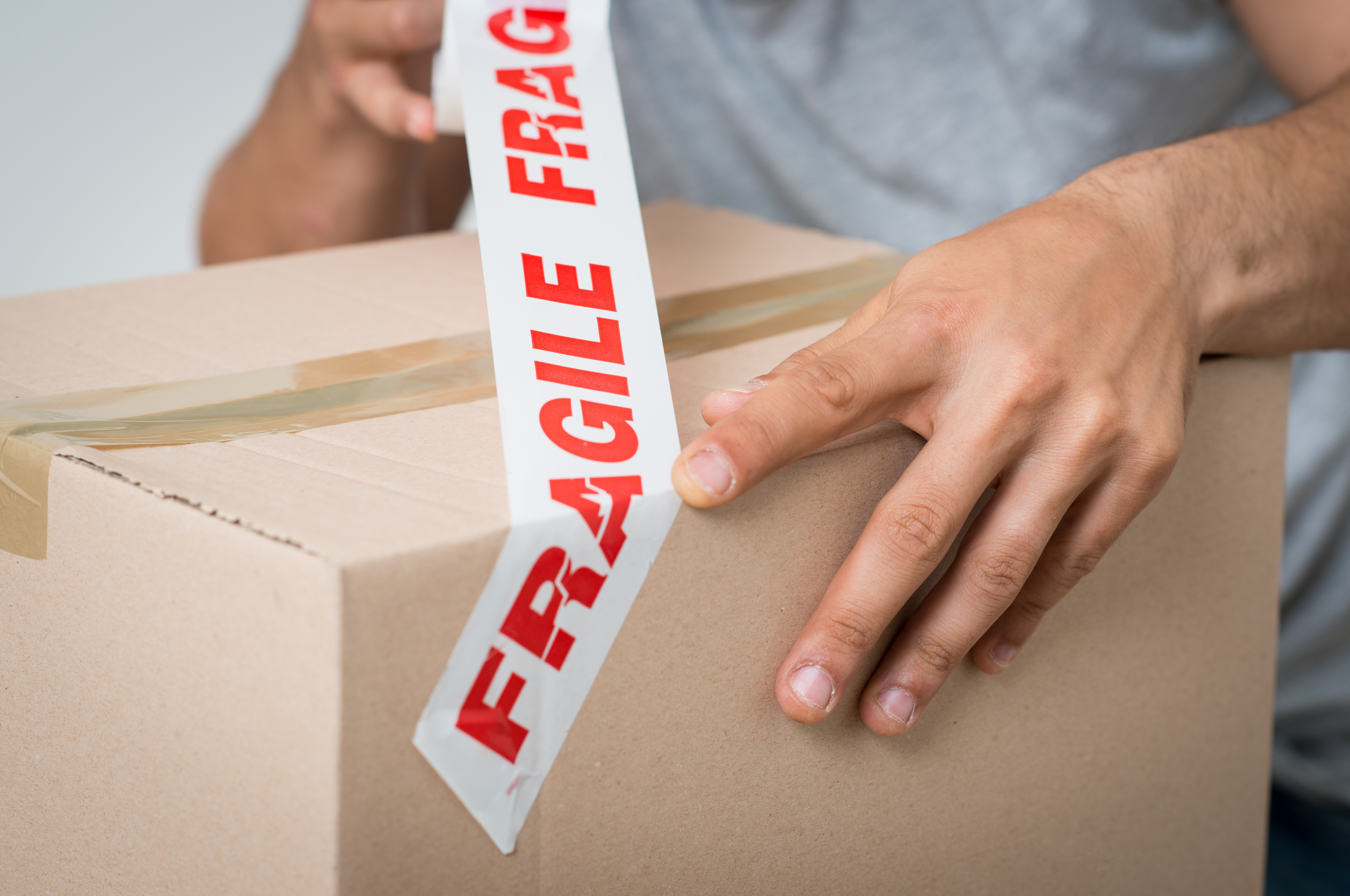 fragile.jpeg fragile.jpeg