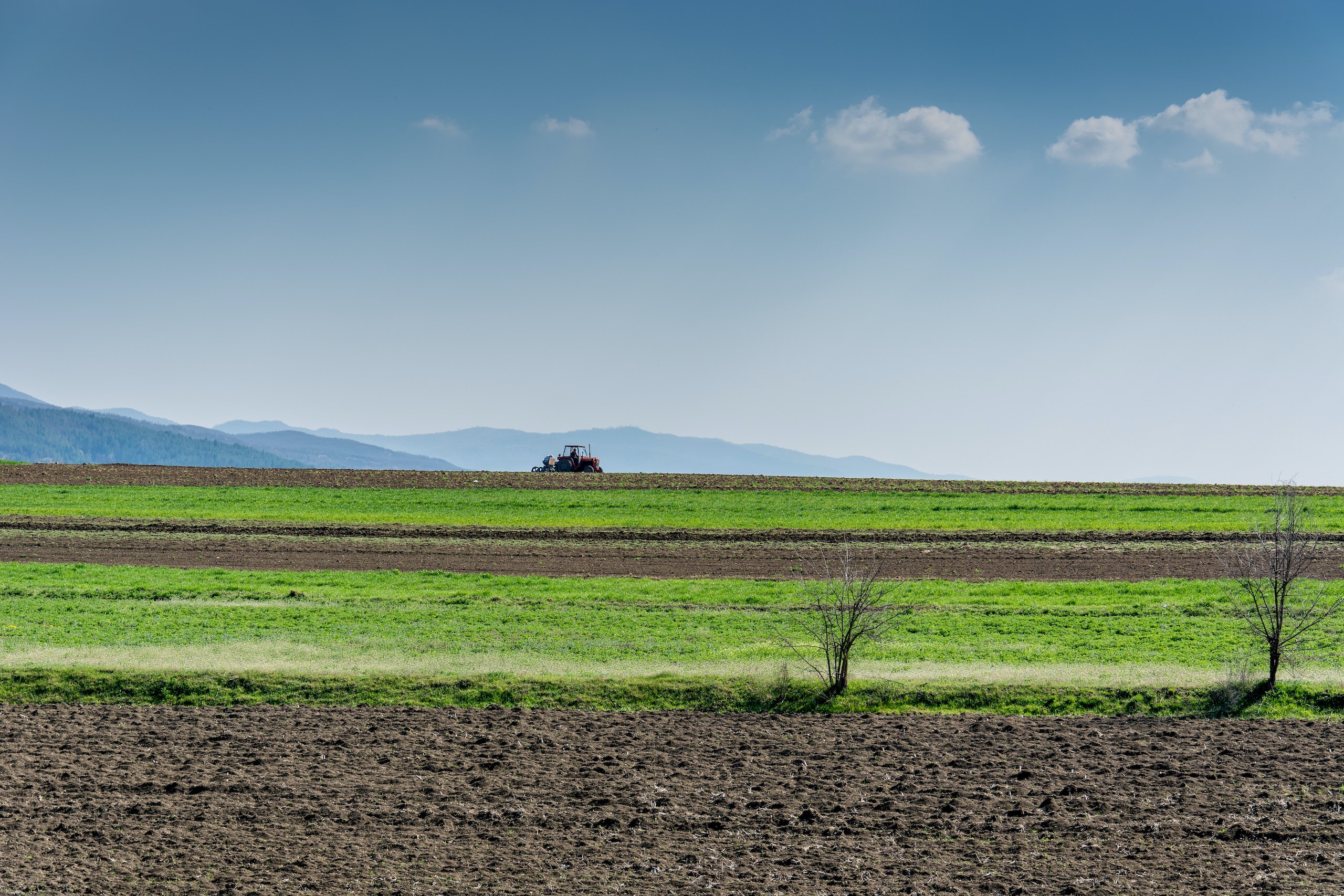 petim-latifi-1ysvvlbhuoa-unsplash_1.jpg petim-latifi-1ysvvlbhuoa-unsplash_1.jpg