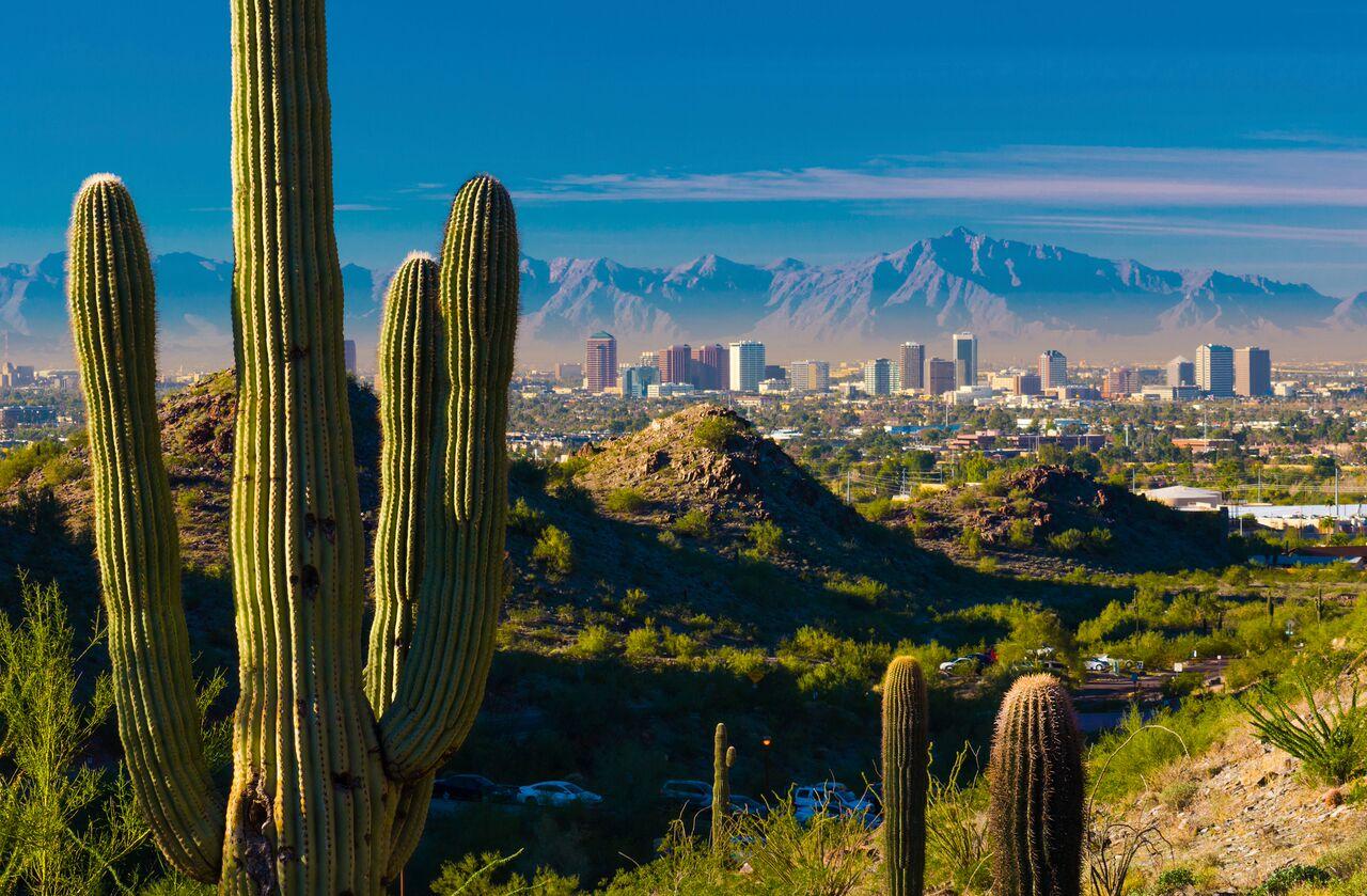 phoenix-skyline-cactus_preview_1-2.jpeg phoenix-skyline-cactus_preview_1-2.jpeg
