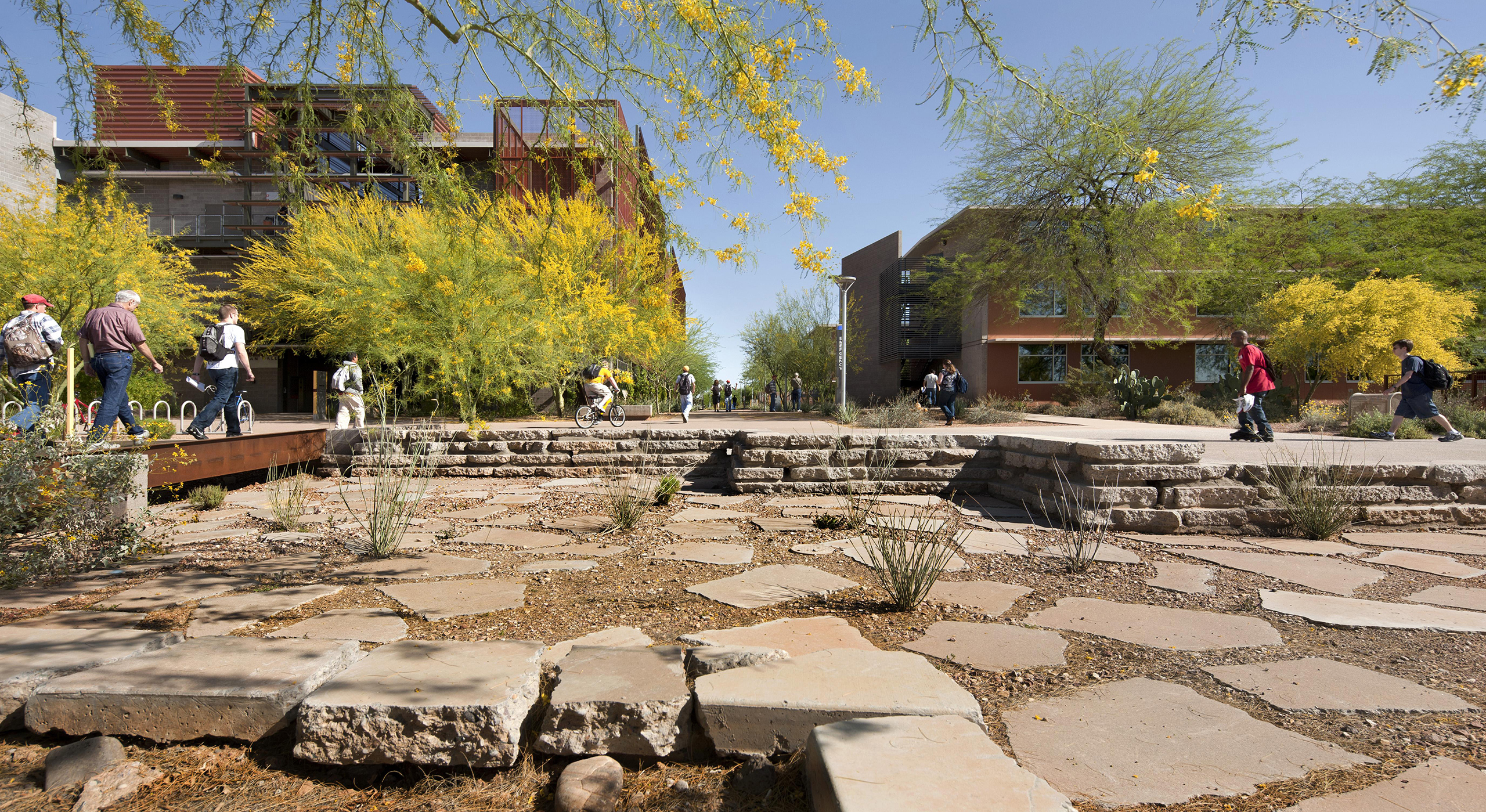 poly_campus-2.jpg poly_campus-2.jpg