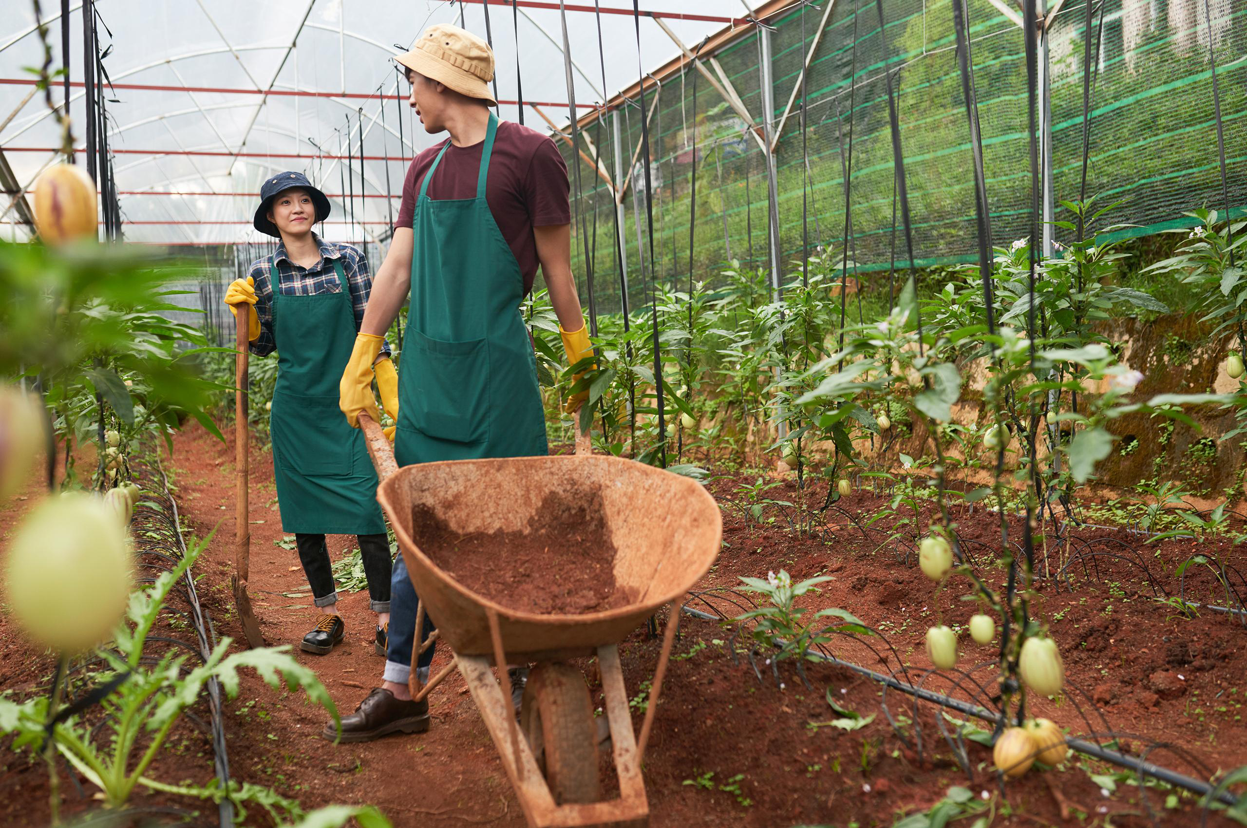 produce-for-better-health.jpg produce-for-better-health.jpg