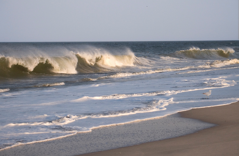 waves.jpg waves.jpg